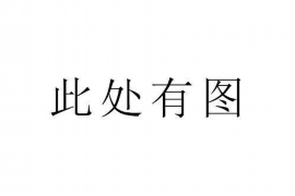 沈丘遇到恶意拖欠？专业追讨公司帮您解决烦恼